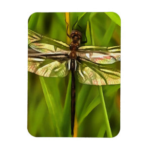 Magnet Flexible Dragonfly Artistique En Brown Et Jaune Sur Vert