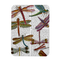 Dragonfly Print 3