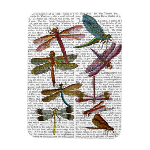 Magnet Flexible Dragonfly Print 4