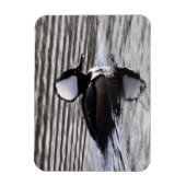 Magnet Flexible Drake Merganser à capuchon (Vertical)