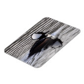 Magnet Flexible Drake Merganser à capuchon (Côté Gauche)