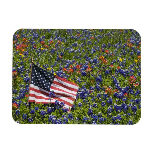 Magnet Flexible Drapeau américain dans un champ de bleuets, 2 (Horizontal)
