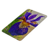 Magnet Flexible Drapeau bleu Iris Fleur de Lys France Canada Québe (Côté Gauche)