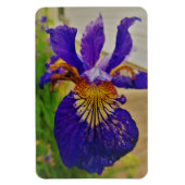 Magnet Flexible Drapeau bleu Iris Fleur de Lys France Canada Québe (Vertical)
