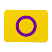 Magnet Flexible Drapeau de fierté intersexe (Horizontal)