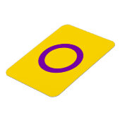 Magnet Flexible Drapeau de fierté intersexe (Côté Gauche)
