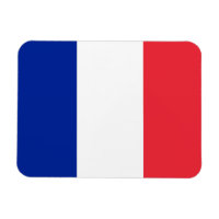 Drapeau de France, Drapeau national de Tricolor