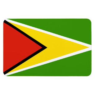 Magnet Flexible Drapeau de Guyana