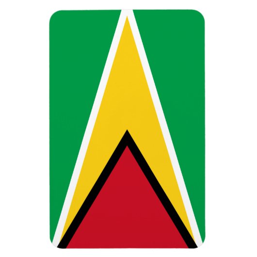 Magnet Flexible Drapeau de Guyana (Vertical)