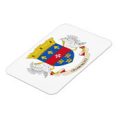 Magnet Flexible Drapeau de Saint-Barthélemy (Côté Gauche)