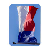 Magnet Flexible Drapeau du Texas (Vertical)