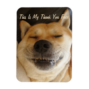 Magnet Flexible drôle akita japonaise avec joli sourire merci
