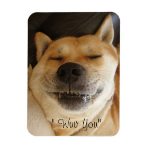 Magnet Flexible drôle akita japonaise type avec joli sourire amour