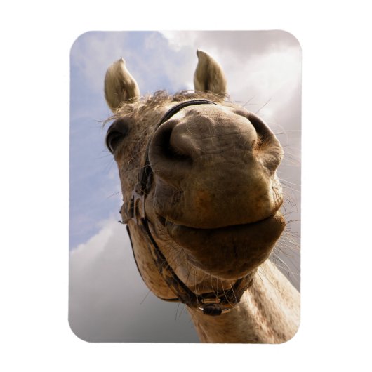Magnet Flexible Drôle Cheval Gris Nez Gros Plan (Vertical)