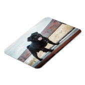 Magnet Flexible Drôle chien de carlin (Côté Gauche)