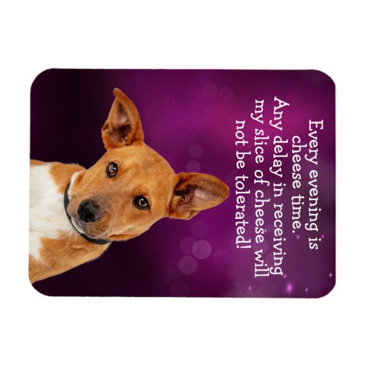 Magnet Flexible Drôle chien pensée (Horizontal)