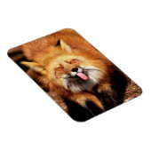 Magnet Flexible Drôle Fox Sticking It's Tongue Out (Côté Droit)