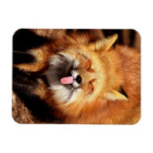 Magnet Flexible Drôle Fox Sticking It's Tongue Out (Horizontal)