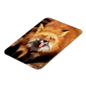 Magnet Flexible Drôle Fox Sticking It's Tongue Out (Côté Gauche)