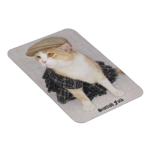 Magnet Flexible Drôle Scottish Pold Cat/Kitty dans un Kilt (Côté Droit)