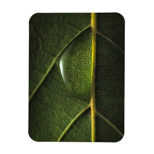 Magnet Flexible Droplets feuille (Vertical)