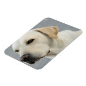 Magnet flexible du laboratoire jaune (Côté Gauche)