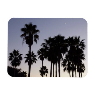 Magnet Flexible Dusk avec palmiers Scène tropicale