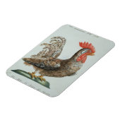 Magnet Flexible Dwarf Cockerel, c.1767-76 (gravure à la main) (Côté Gauche)