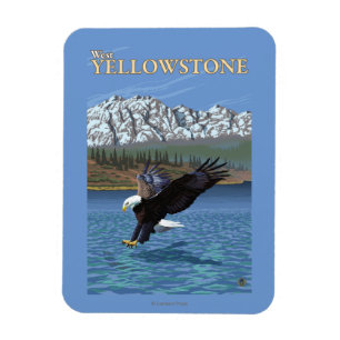 Magnet Flexible Eagle chauve plongeant - Yellowstone occidental,
