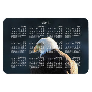 Magnet Flexible Eagle chauve solitaire ; Calendrier 2013
