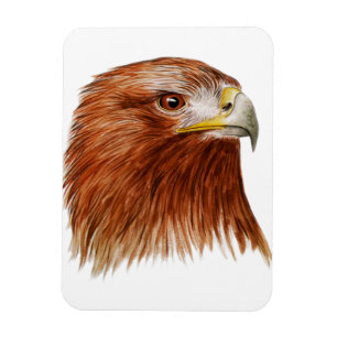 Magnet Flexible Eagle d'or 2011
