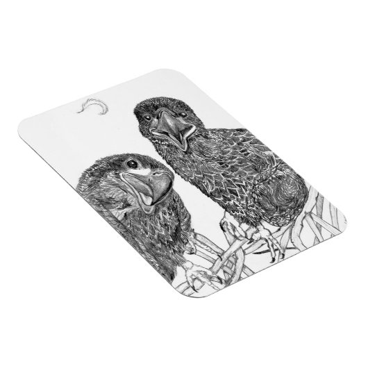 MAGNET FLEXIBLE EAGLE SIBLINGS A FUN + FEATHER AMI GUIDE (Côté Droit)