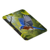 Magnet Flexible Eastern Bluebird (Côté Droit)
