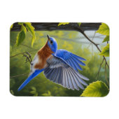 Magnet Flexible Eastern Bluebird (Horizontal)