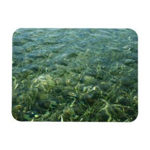 Magnet Flexible Eau sur l'herbe marine I Nature caribéenne