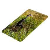 Magnet Flexible Eau vive John 4 Inspiration (Côté Gauche)