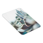 Magnet Flexible Echeveria succulent (Côté Droit)