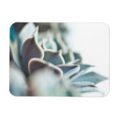 Magnet Flexible Echeveria succulent (Horizontal)