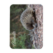 Magnet Flexible Echidna, Australie (Vertical)