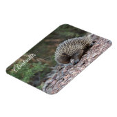 Magnet Flexible Echidna, Australie (Côté Gauche)