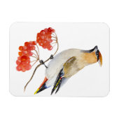 Magnet Flexible Écirage d'oiseaux de la forêt d'aquarelle (Horizontal)