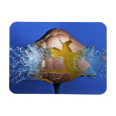 Magnet Flexible Éclaircissant (Horizontal)