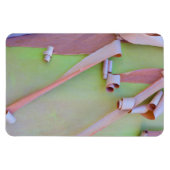 Magnet Flexible Écorce d'arbre Madrone Abstrait (Horizontal)