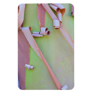 Magnet Flexible Écorce d'arbre Madrone Abstrait