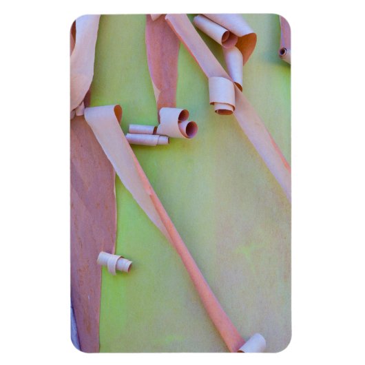 Magnet Flexible Écorce d'arbre Madrone Abstrait (Vertical)