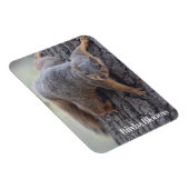 Magnet Flexible Écureuil (Côté Droit)