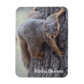 Magnet Flexible Écureuil (Vertical)