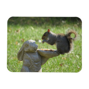 Magnet Flexible Écureuil affamé sur le mangeur de lapin