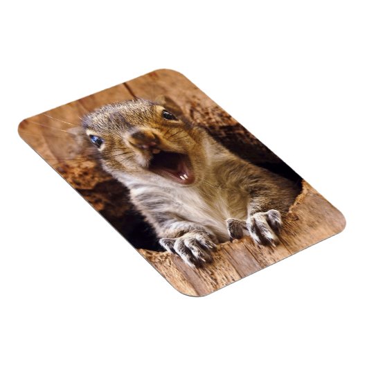 Magnet Flexible Écureuil choqué (Côté Droit)