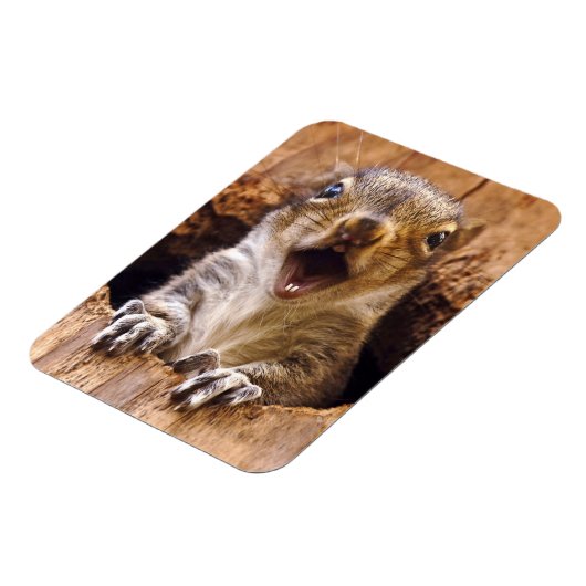 Magnet Flexible Écureuil choqué (Côté Gauche)